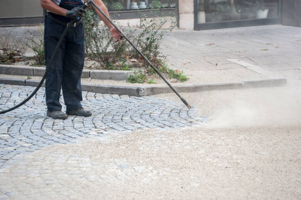Professional Pressure Washing in Sheffield, IA
